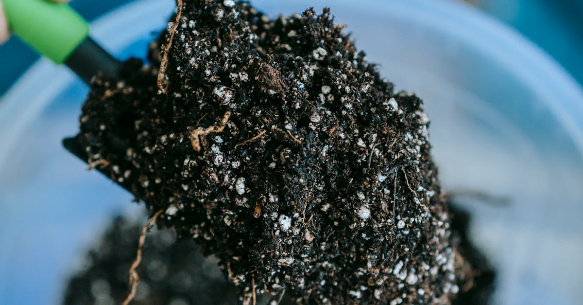 Mastering Gardening Tools and Techniques: 15 Guidelines for Permaculture, Hydroponic, and Container Gardening