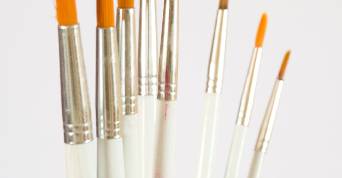 Mastering the Art: Key Points to Consider When Learning Watercolor and Oil Painting