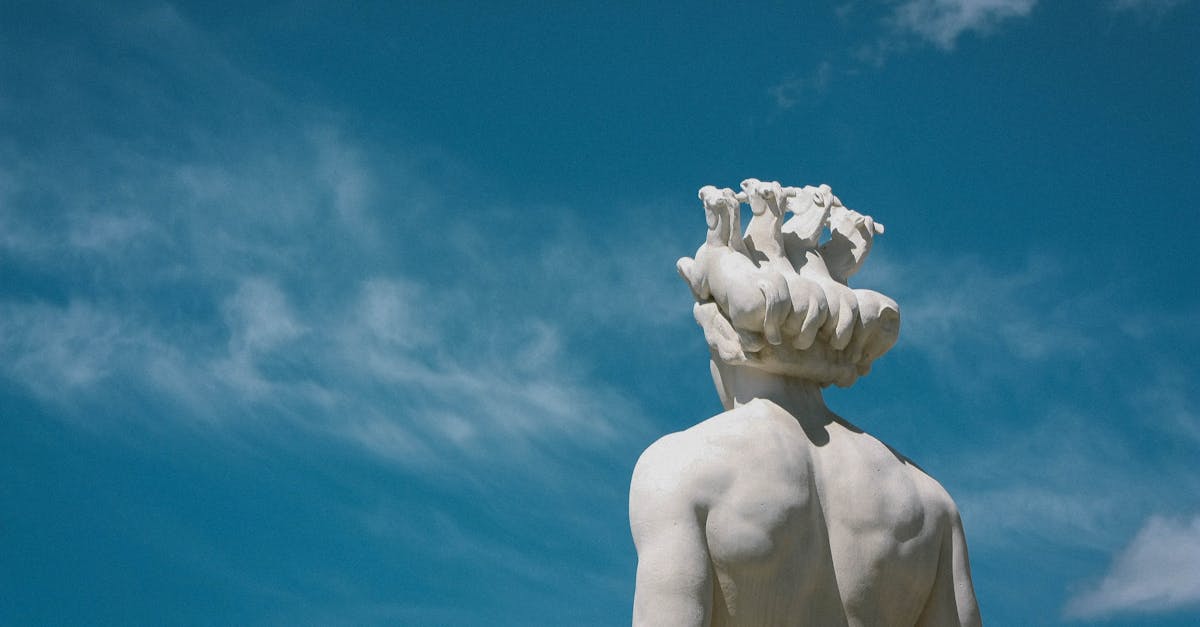 Unveiling Wood Wonders: Exploring Installation, Relief Sculpture, and More