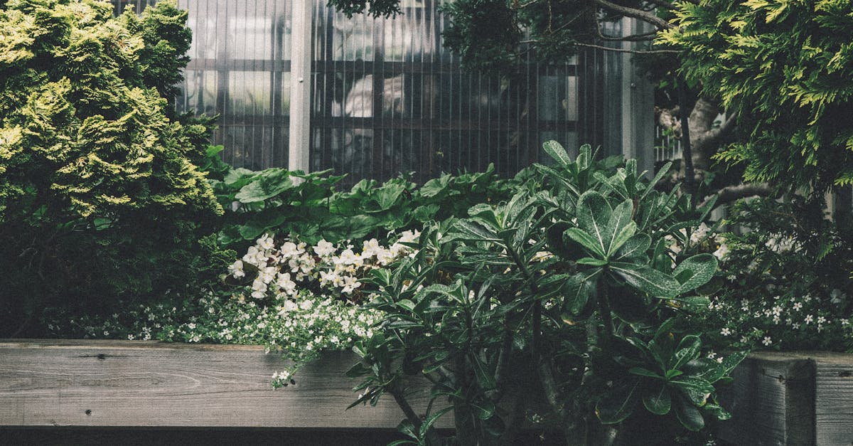 8 Essential Schemes for Growing Flowers: Integrating Vegetable Gardening, Japanese Zen Gardening, and Hydroponic Herb
