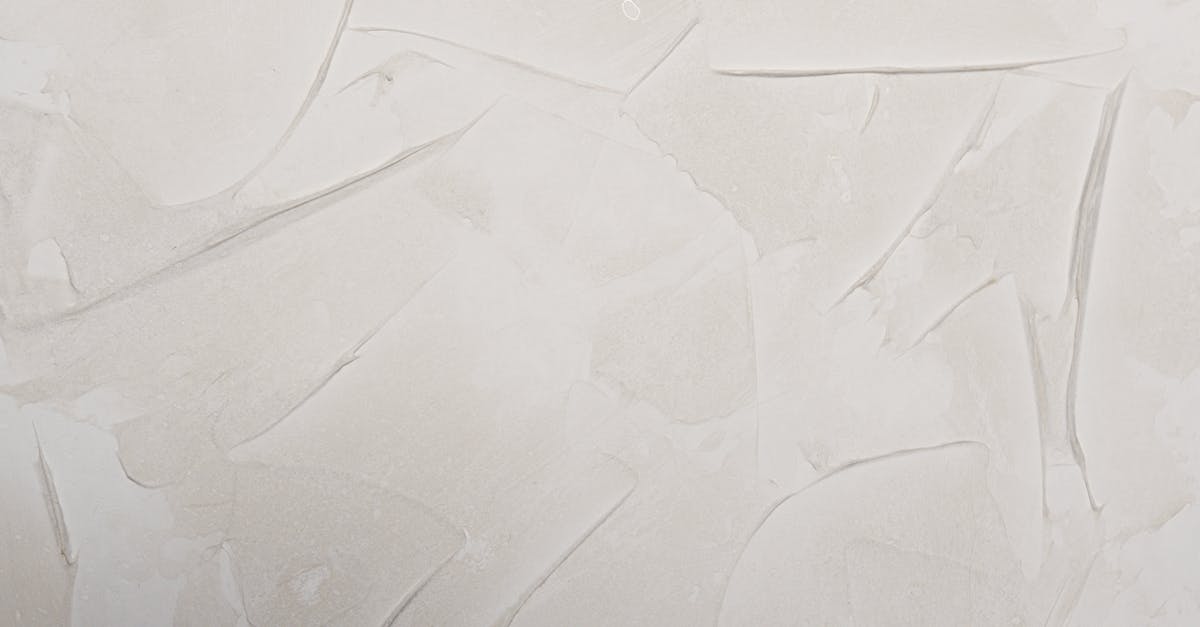 14 Essential Recommendations for Sharing a Watercolor and Oil Painting Support