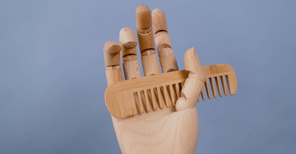 Exploring the Art of Learning: 20 Essential Features in Sculpting Information